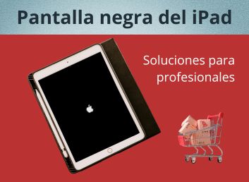 Soluciones para profesionales: Pantalla negra del iPad