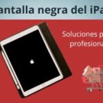 Soluciones para profesionales: Pantalla negra del iPad